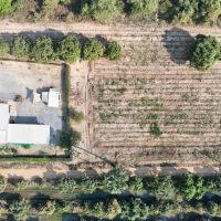 เมื่อความเพียรผลิดอกผล-1-ปี-แห่งความเพียรพยายามสวนปันสุขสุโขทัย