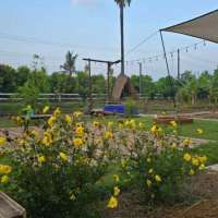 เช้านี้ที่สวนปันสุข-กาแฟอุ่นๆกับบรรยากาศต้นไม้ที่ค่อยๆเติบโต