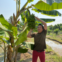 เรื่องกล้วยๆที่สวนปันสุขสุโขทัย
